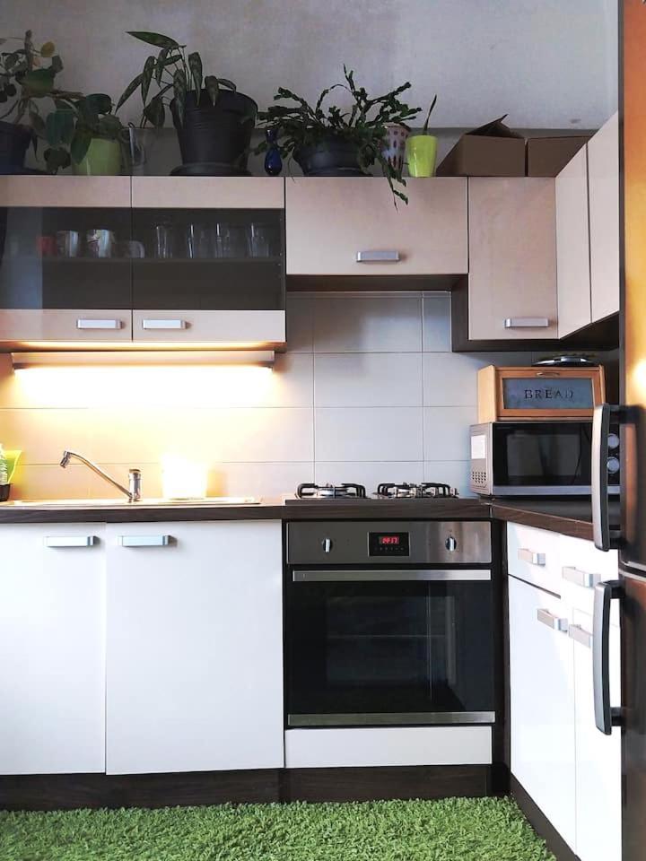 Parking Free One With Netflix In Shared Flat With A Woman In Next And Shared Bathroom And Kitchen No Invoice Ubytovanie v rodine